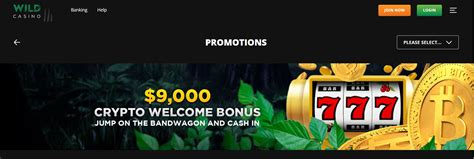 go wild casino sign up bonus|Best Wild Casino Bonus Codes .